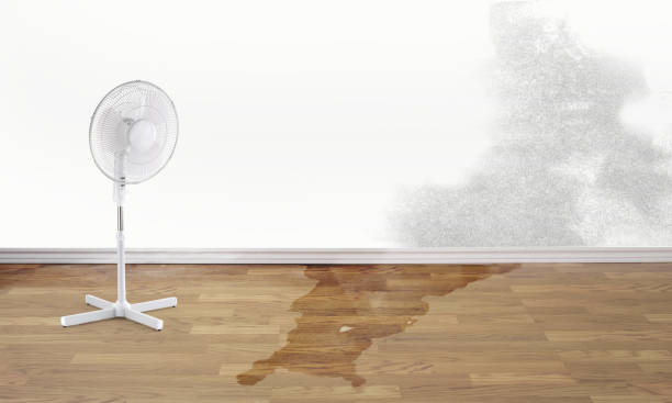 Best Flood damage cleanup  in Homeacre Lyndora, PA