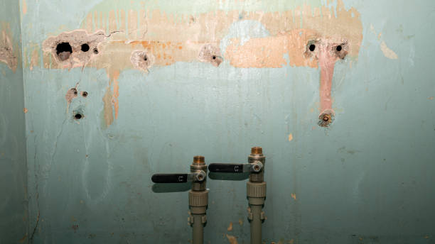Best Sewage cleanup and water damage restoration  in Homeacre Lyndora, PA