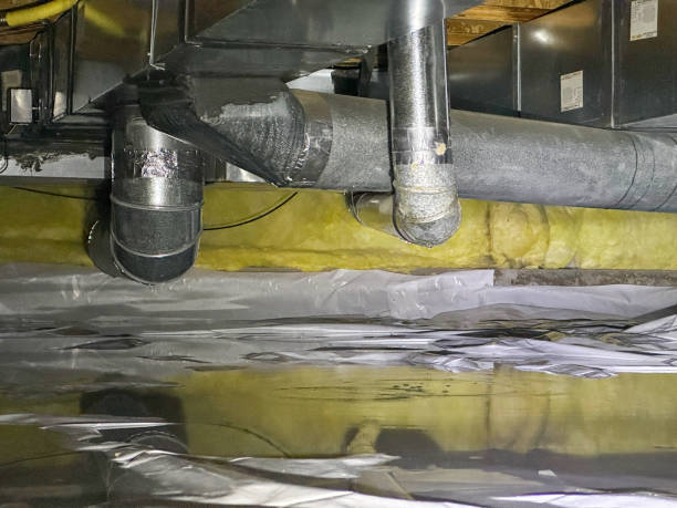 Best Water damage restoration near me  in Homeacre Lyndora, PA