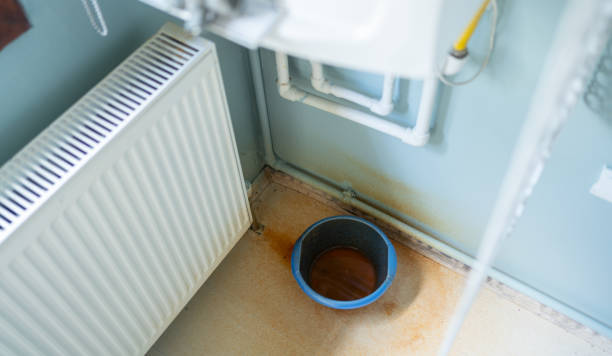 Best Local water damage restoration  in Homeacre Lyndora, PA